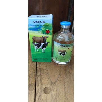 Jual Vitamin B1 Injeksi 100 ml | Shopee Indonesia