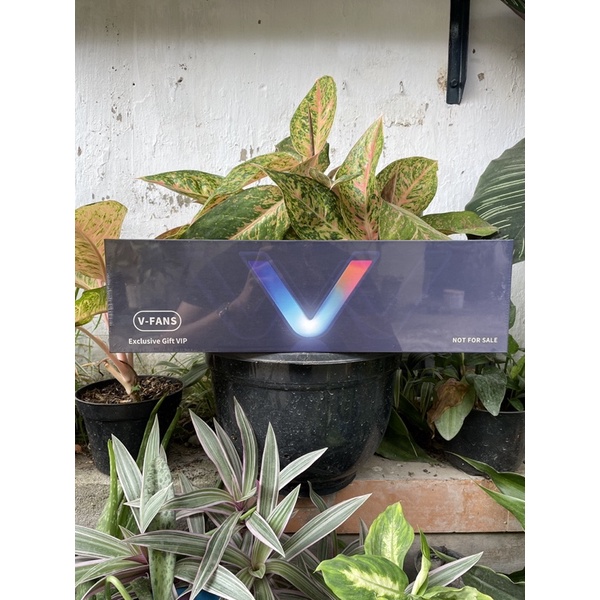 gift box vivo V Fans isi speaker vivo