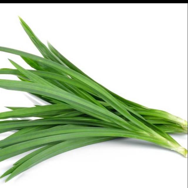 

Daun pandan, daun salam segar, petik pohon #sayurmdn