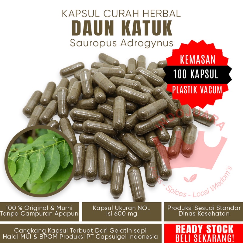100 Kapsul DAUN KATUK Herbal Pembangkit Libido Penurun Kolesterol Luka