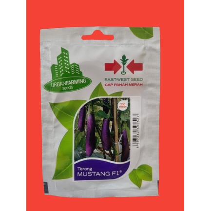 Benih Terong Panjang Ungu Hibrida MUSTANG F1