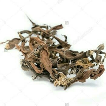 

ORIGINAL MURAH Teh Bunga Kenanga Kering Herbal Natural Obat Alami