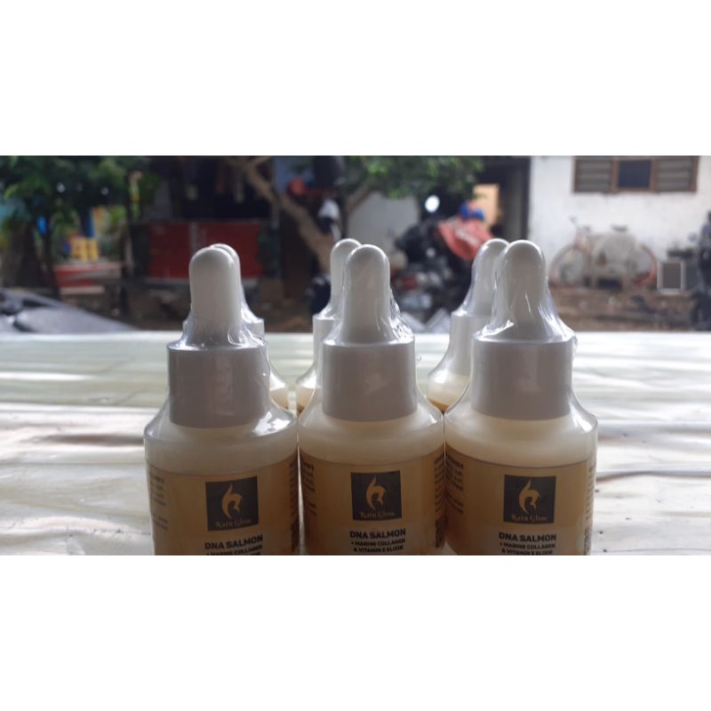 DNA SALMON RATU GLOW BY AGUS SALIM BUCAR