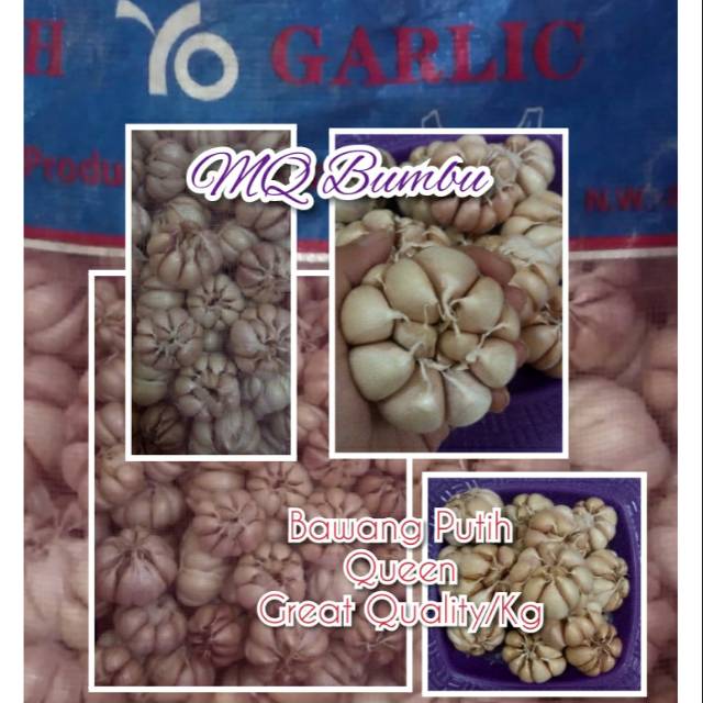 

Bawang Putih/Kg Great Quality