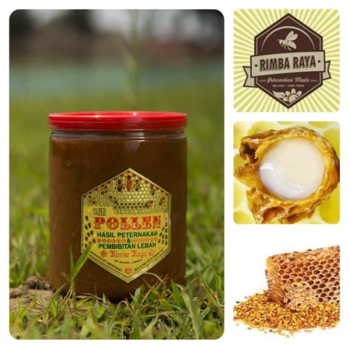 

Bee Pollen CMP (Cuka Madu Propolis) Produk Tawon Lebah Asli Rimba Raya