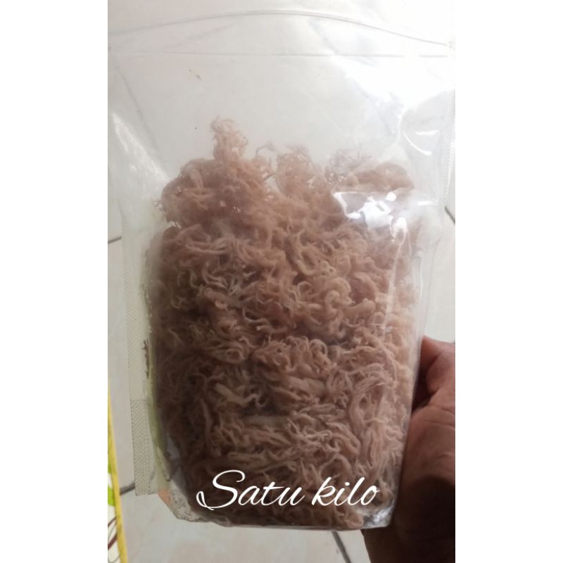 

Rumput Laut kering bersih satu kilo