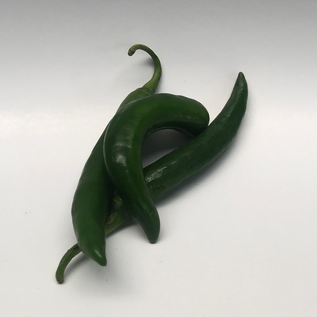 

(KIRIM INSTAN) CABE CABAI HIJAU BESAR 250gr