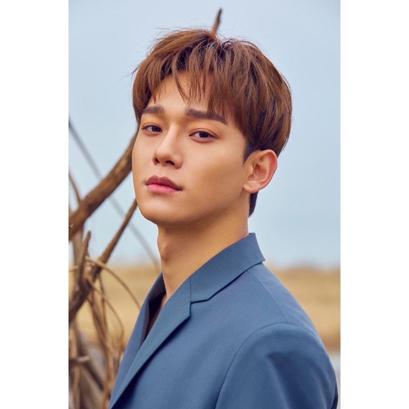 Photocard chen senja official