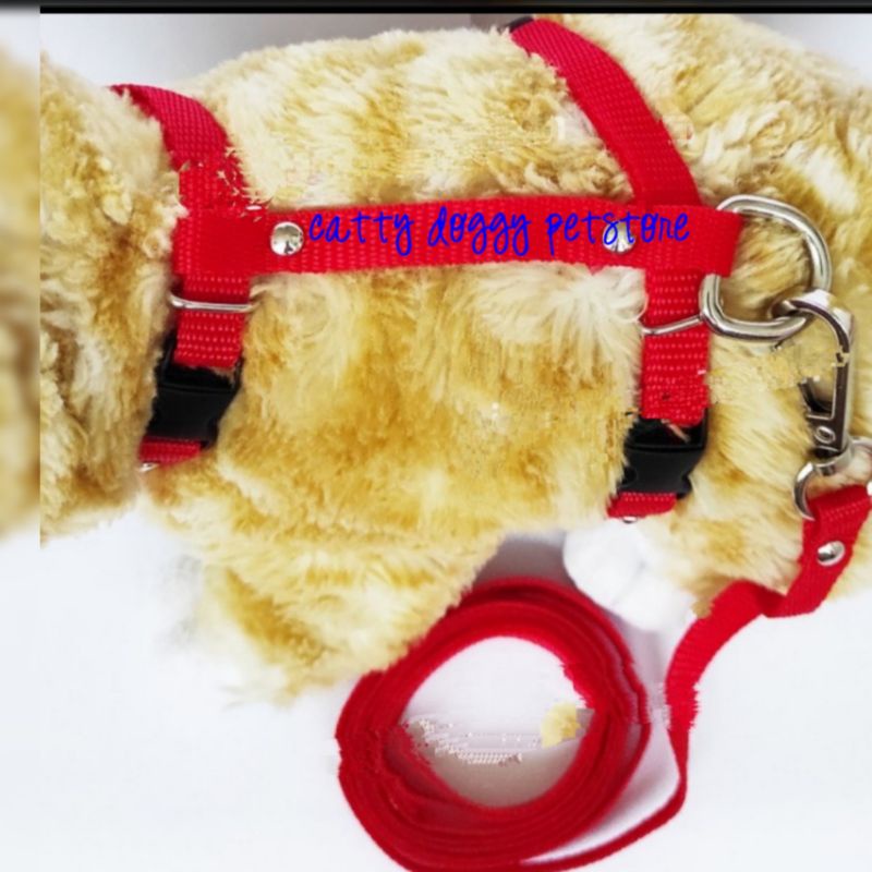 HARNESS. H + TALI TUNTUN  KUCING & KELINCI