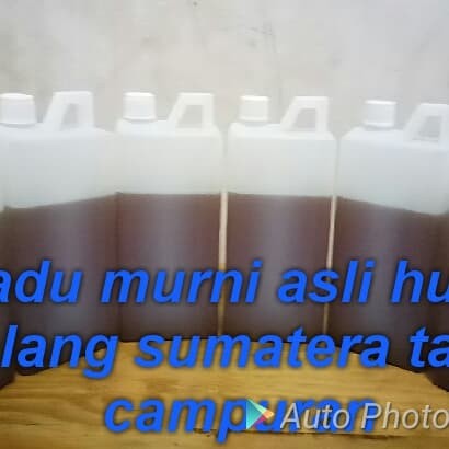 

MADU ASLI MURNI HUTAN SIALANG RIAU SUMATERA 100% TANPA BAHAN CAMPURAN