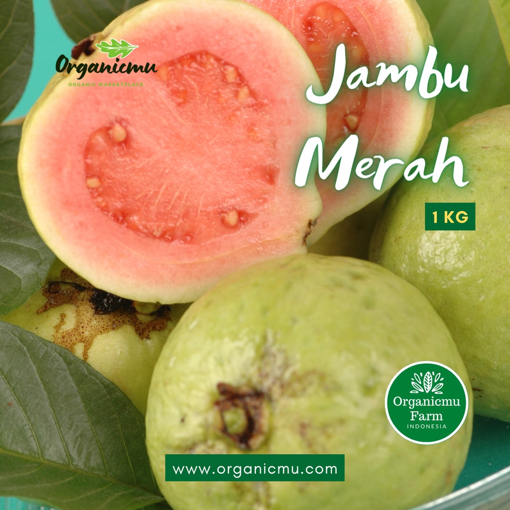 

Organicmu - Jambu Merah 1 kg