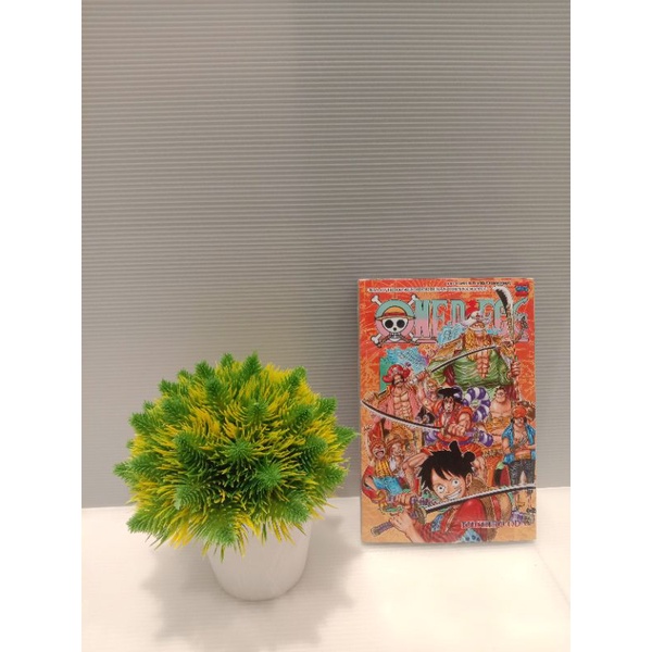 One piece 96