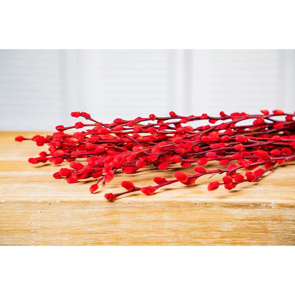 Dried Flower Pussy Willow Merah 1 batang | Pussy Willow Kering | Pussywillow Merah | Hiasan Imlek | 