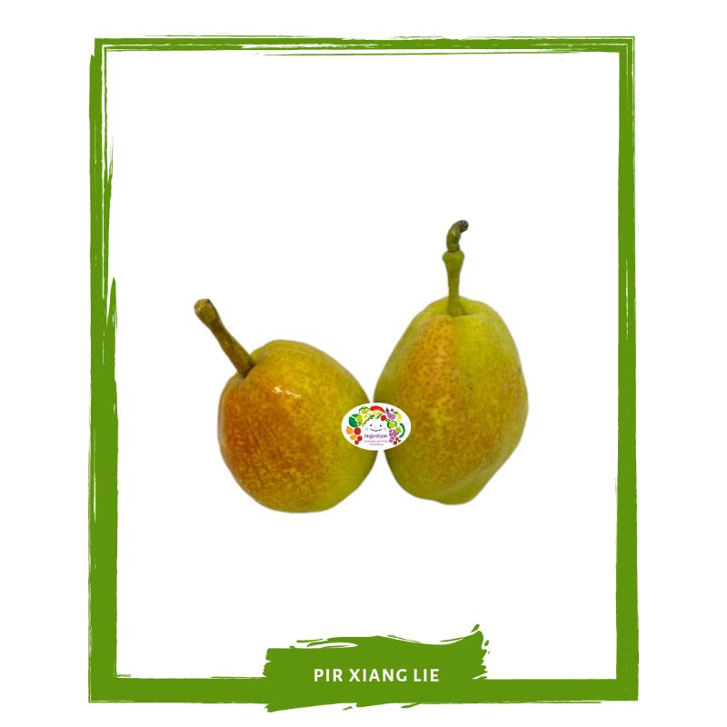 

Pear Xianglie / Pir Hijau / Buah Buahan Segar On Mallahrizwa