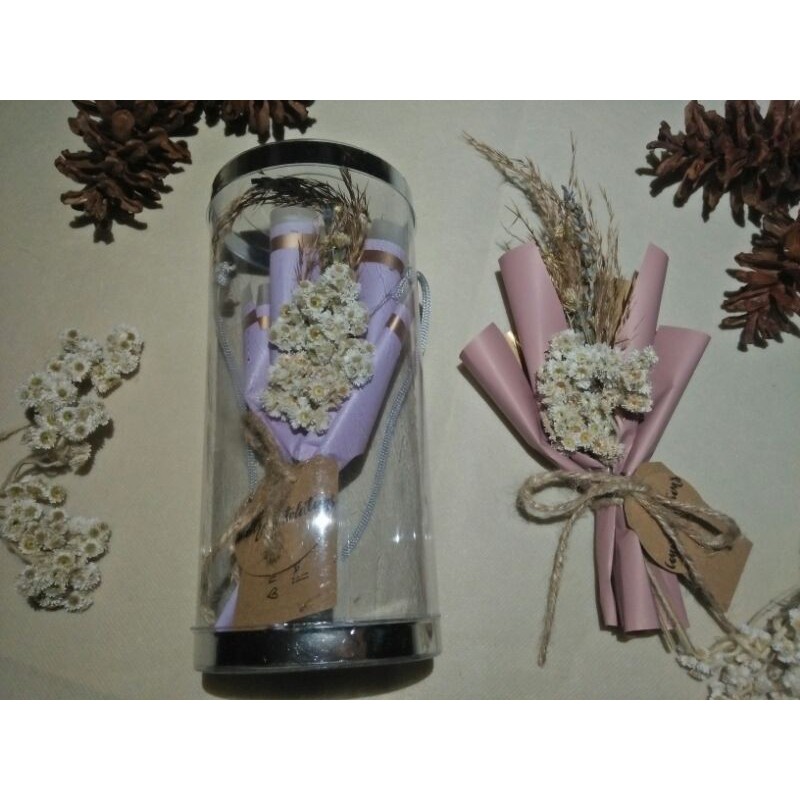 Bucket mini Dried flower Dried flower in jar Kado  wisuda 