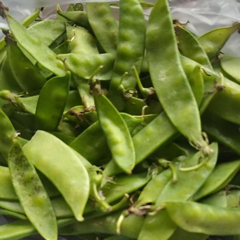 

Sayur Kacang Kapri / Arcis / Ercis 500gram