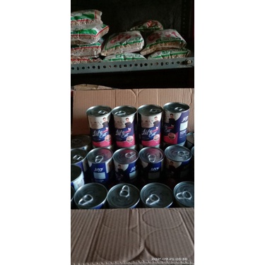 life cat tuna kitten