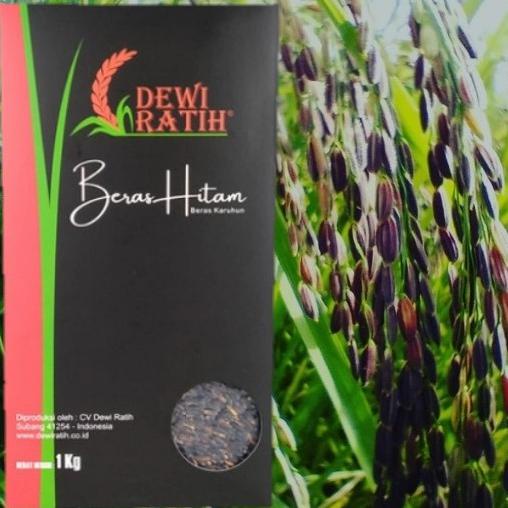 

Cuci Gudang Awal Tahun Beras Hitam, Kaya Vitamin, Mineral, Antioksidan, Tinggi Protein Big Sale