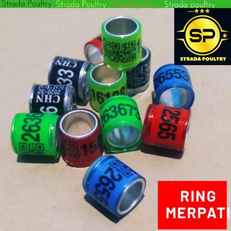 Ring Merpati Import 2024