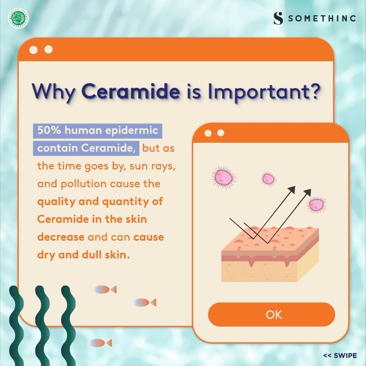 SOMETHINC Ceramic Skin Saviour Moisturizer Gel 50ml