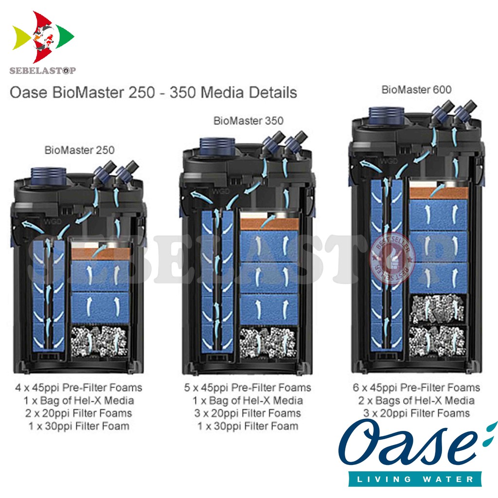 Αποτέλεσμα εικόνας για oase biomaster 350