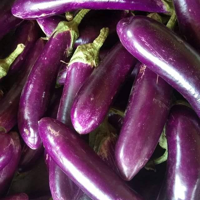 

terong unggu segar 3.500 per 1/2 kg.