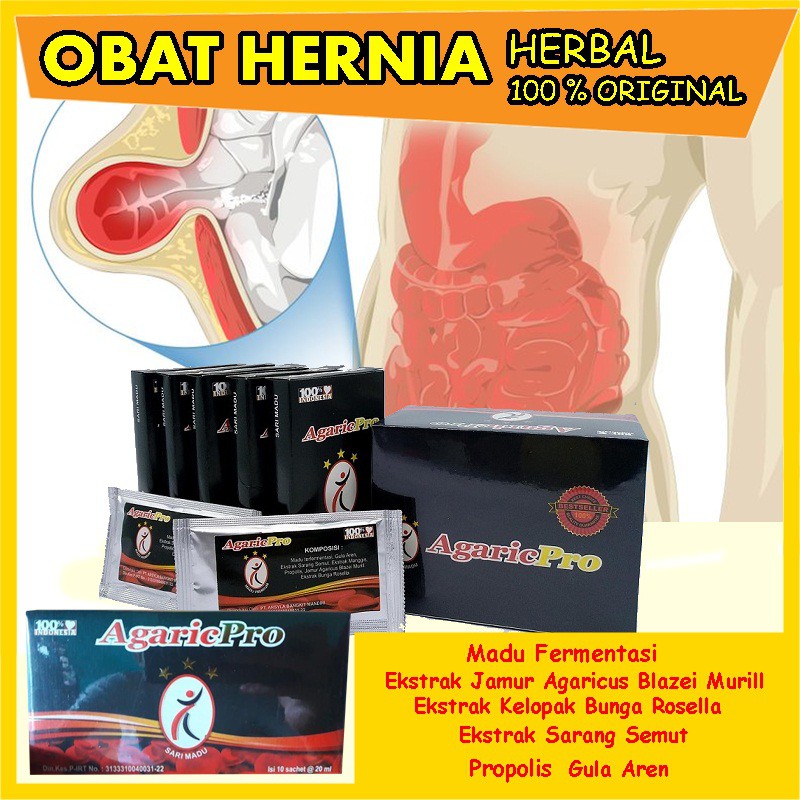 Obat Herbal Hernia Turun Berok Varikokel @ AgaricPro Herbal