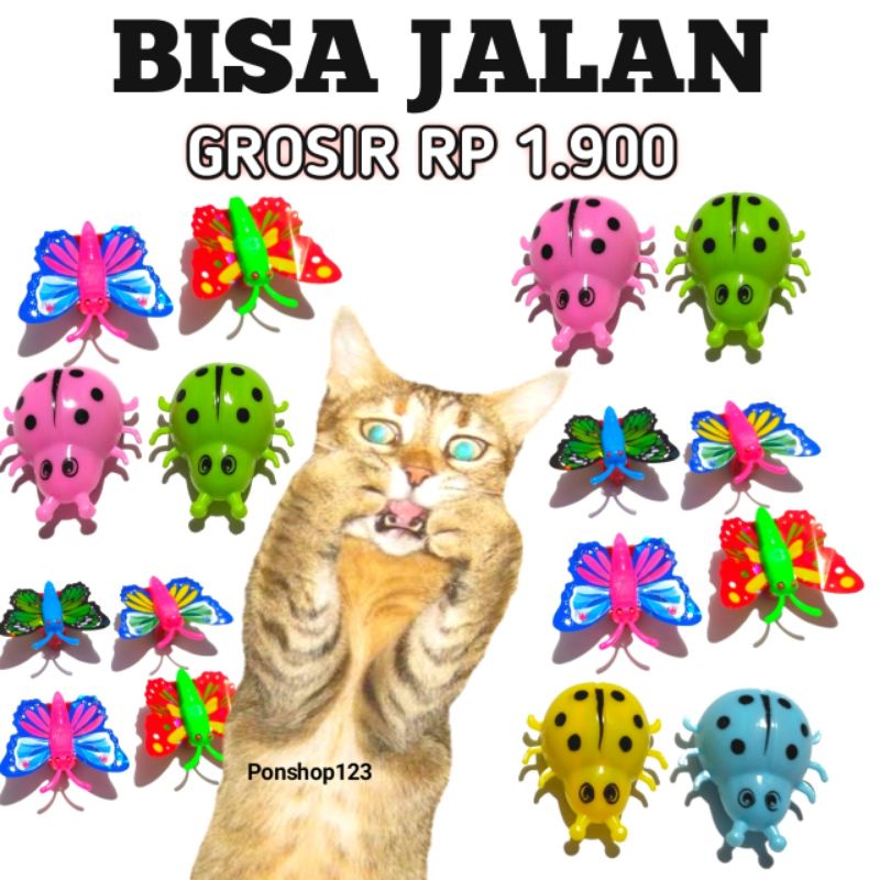 Mainan kucing kupu-kupu bisa jalan mainan kucing keren