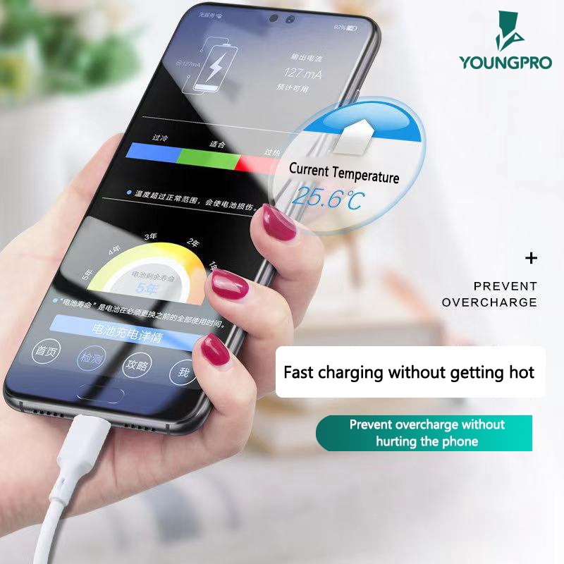 YOUNGPRO KABEL ANTI BREAK CABLE MICRO TYPE C LIGHTING FAST CHARGING 5A - CA100