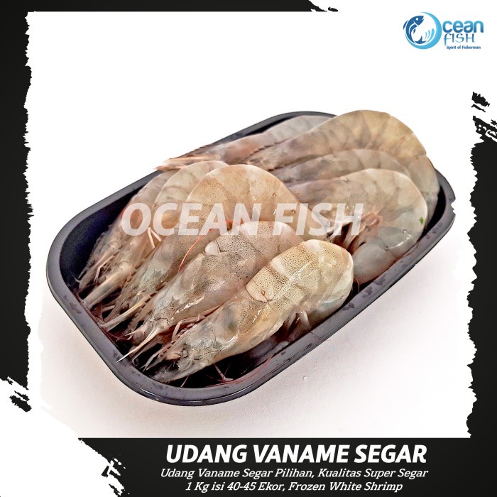 

Udang Vaname Segar/Whole White Shrimp/Udang Segar/Fresh Seafood/Udang Segar Bersih Fresh