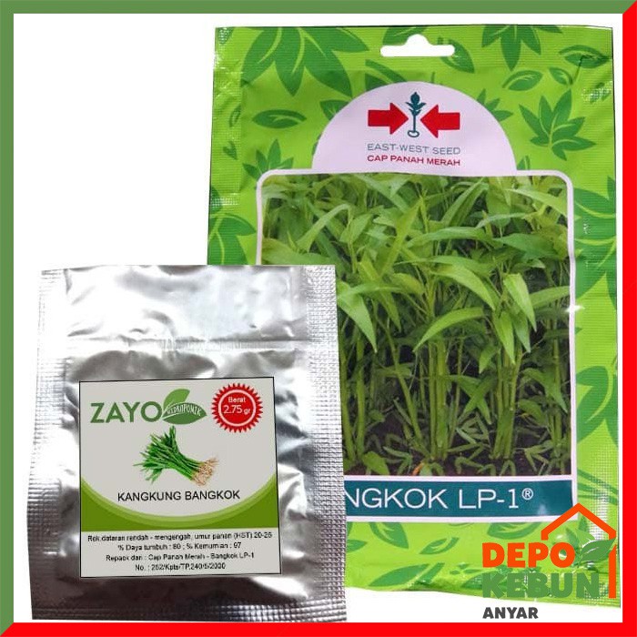 BENIH KANGKUNG BANGKOK /  BIBIT KANGKUNG BANGKOK
