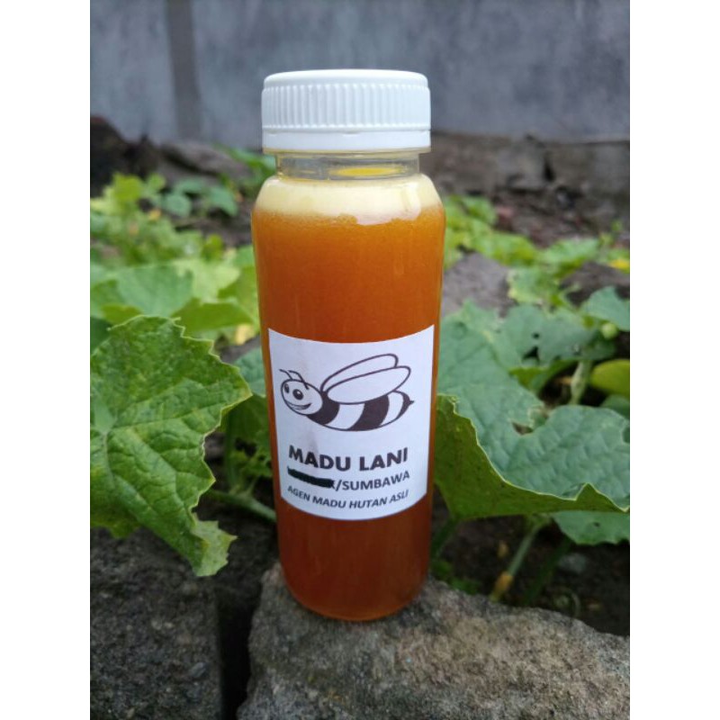 

Madu Asli Hutan Liar sumbawa 250ml