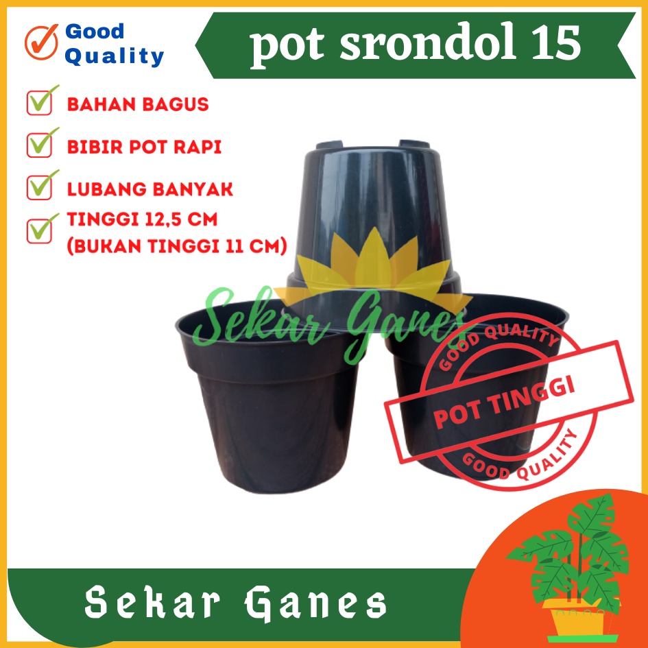 Sekarganes Pot Tinggi Srondol 15 Hitam - Pot Tinggi Usa Eiffel Effiel 18 20 25 Lusinan Pot Tinggi Tirus 15 18 20 30 35 40 50 Cm Paket murah isi 1 lusin pot bunga plastik lusinan pot tanaman Pot Bibit Besar Mini Kecil Pot Srondol 15