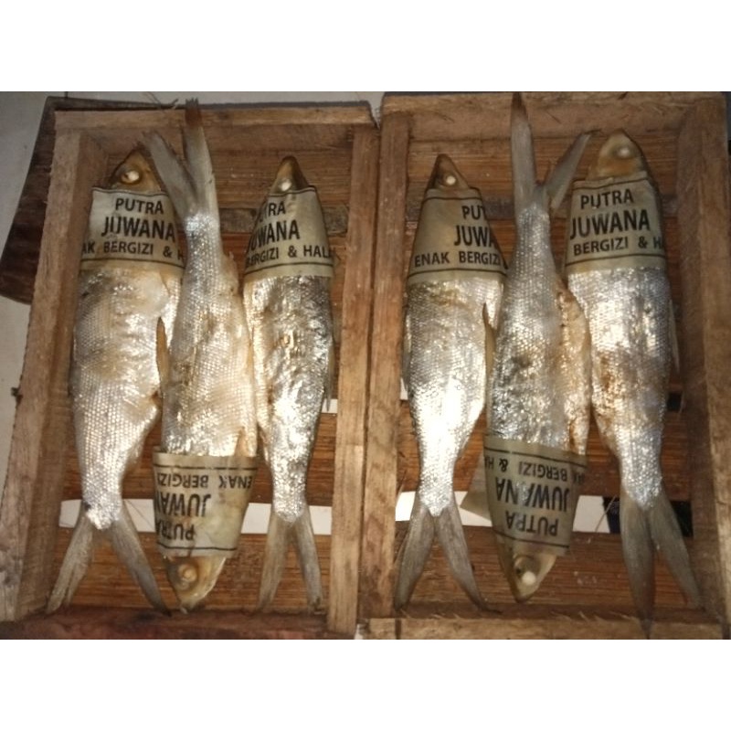 

Bandeng Presto Khas Juwana Duri Lunak Kemasan Vacuum Isi2 &3