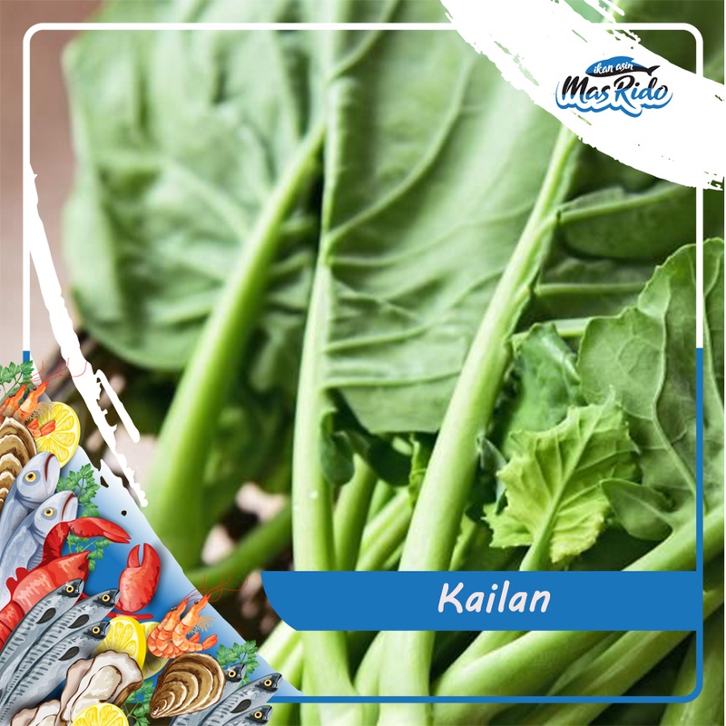 

Kailan Organik 1 Pack Sayur Segar Sawi Manis