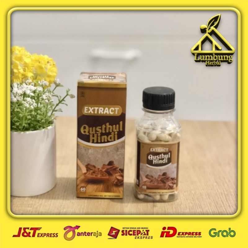 qusthul hindi extract kapsul isi 60 kapsul