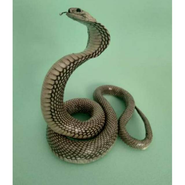 Patung kulit ular asli 100%