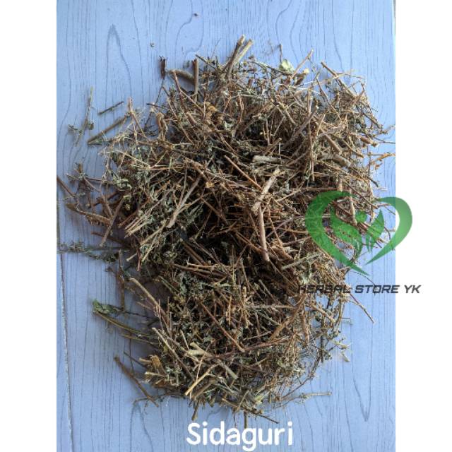

Daun Sidaguri Kering 500gram