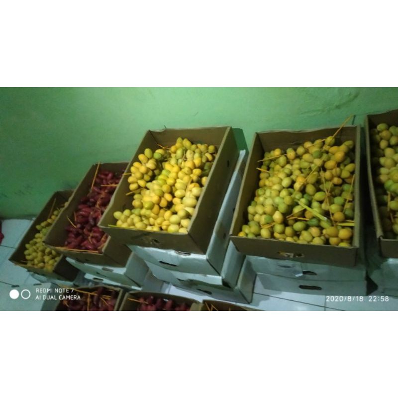 

Kurma muda 500 gram fresh 20 agustus 2020