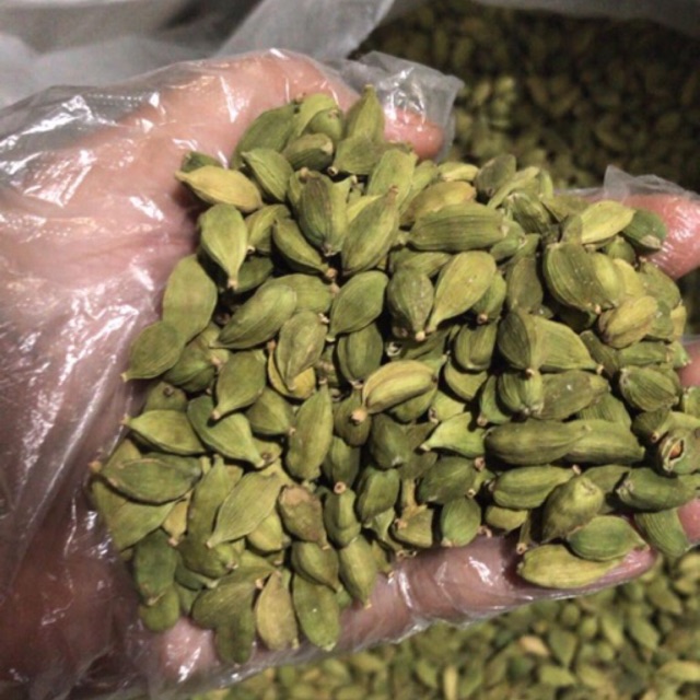 

KAPULAGA HIJAU FRESH