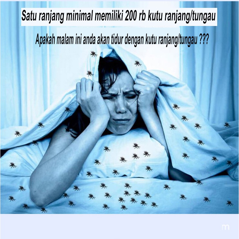 Pembasmi Tungau Anti Kutu Sofa/Kasur