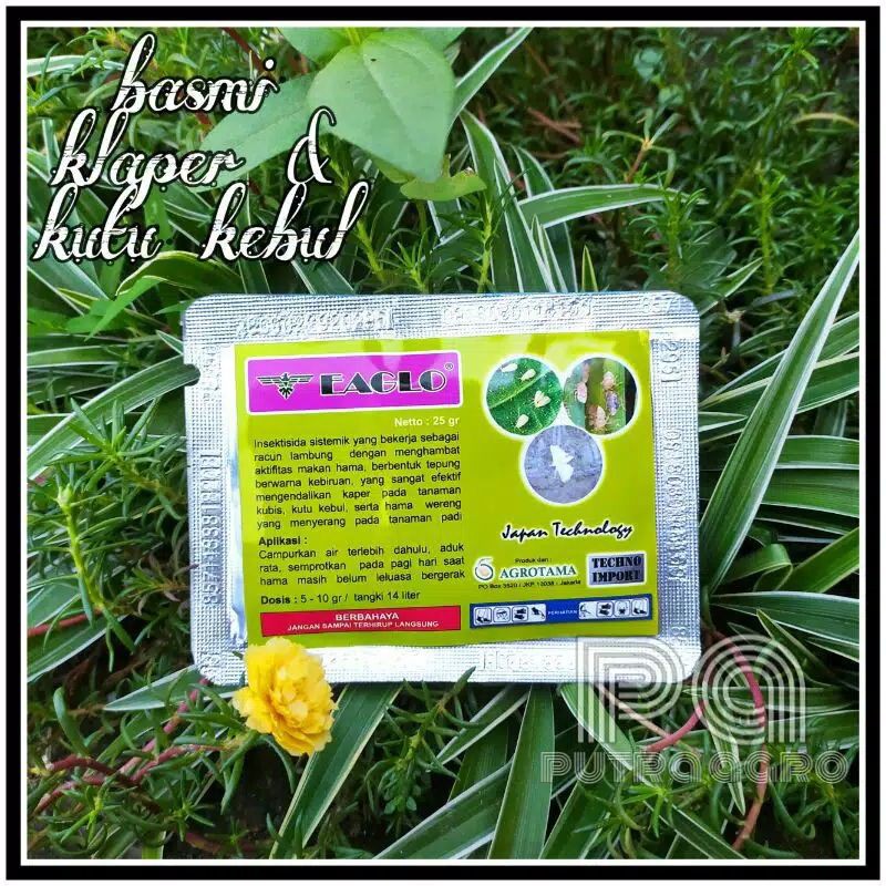 EAGLO BASMI KLAPER /KUTU KEBUL