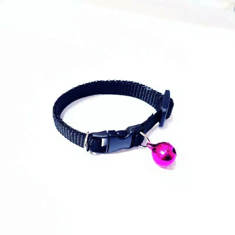 Kalung Kucing, Musang, otter dll