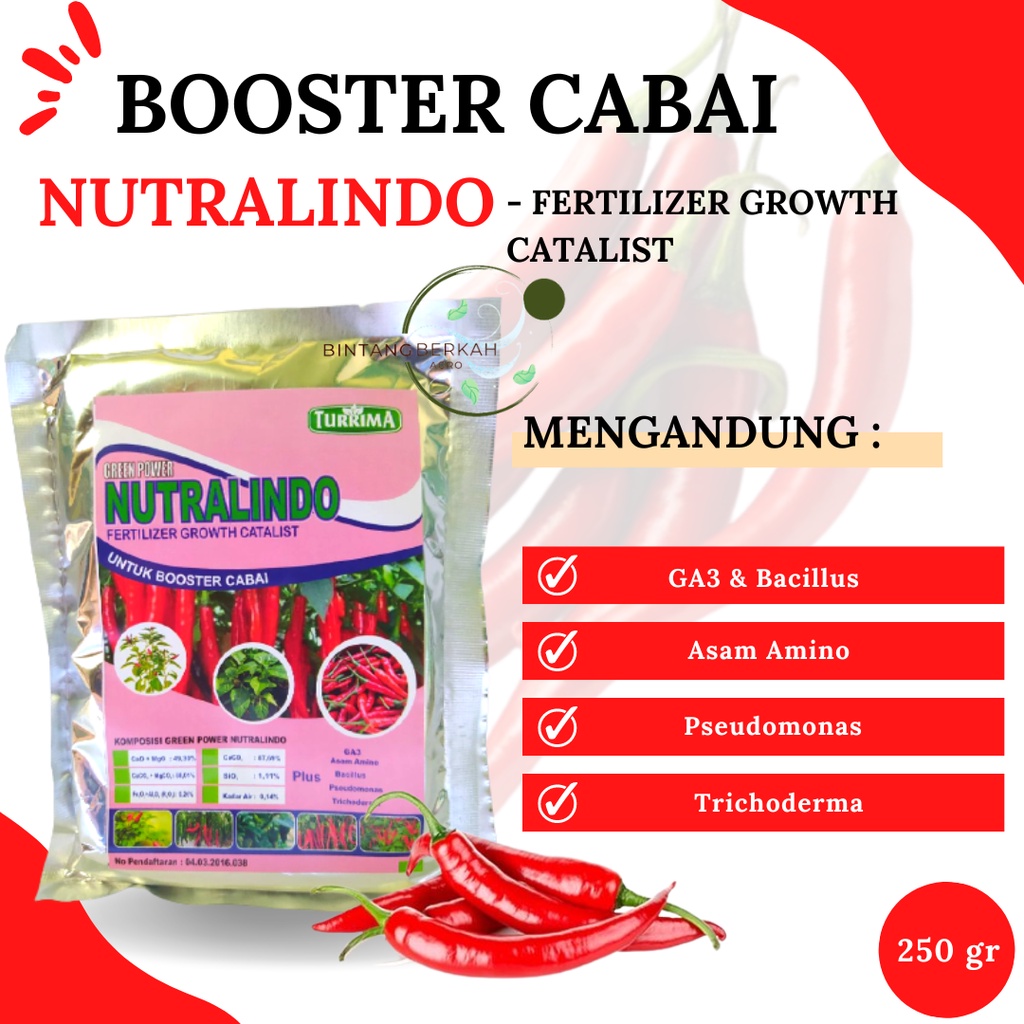 Pupuk Perangsang Buah Cabai, Booster Cabe Merah Keriting, Pupuk Cabe Rawit Agar Berbuah Lebat, Pupuk