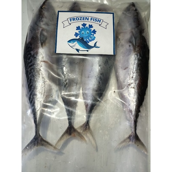 

ikan tongkol 1kg