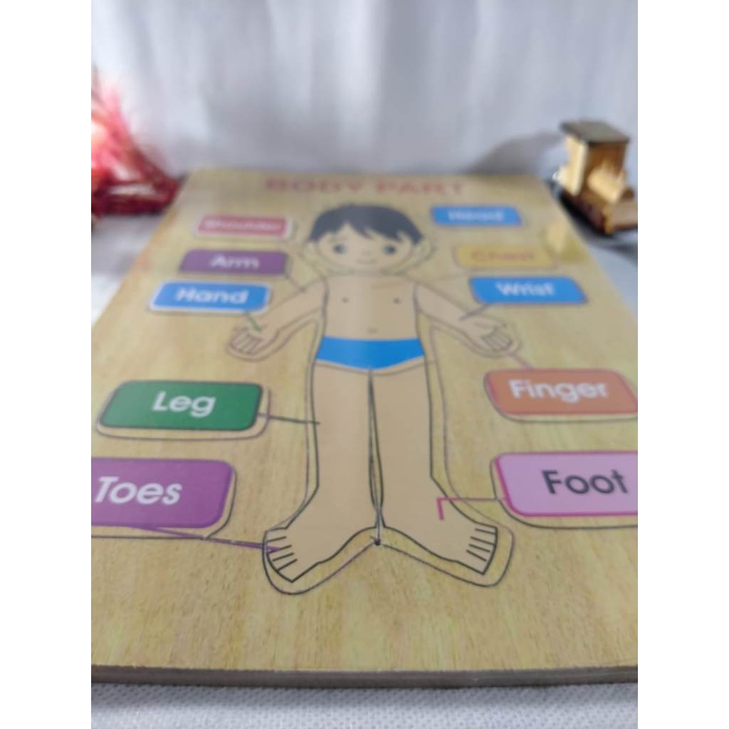 PUZZLE KAYU. MAINAN EDUKASI. PUZZLE GAMBAR BODY PART BAHAN KAYU. Riens Collections