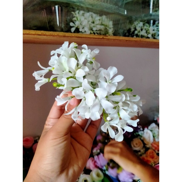 Semanggi bunga melati putih