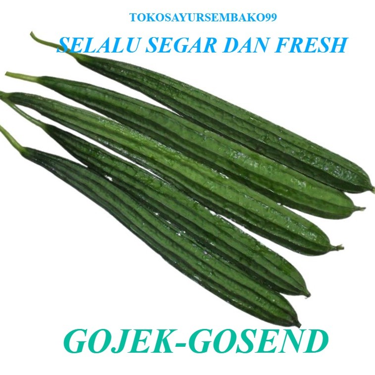 

Sayur Gambas Segar Fresh 500 gram - 1 kg Surabaya