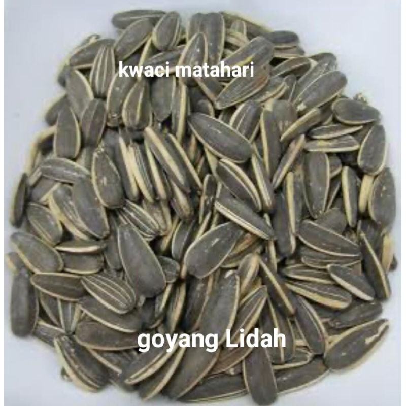 

kwaci bunga matahari 250gram Bisa Bayar DiTempat[COD]