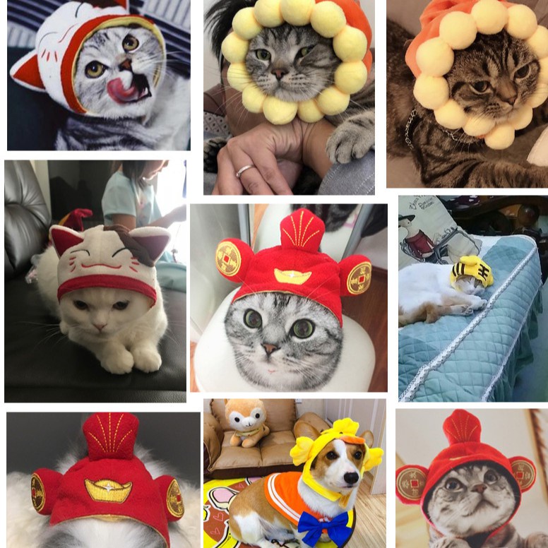 Topi Aneka Motif Untuk Aksesoris Anjing dan Kucing